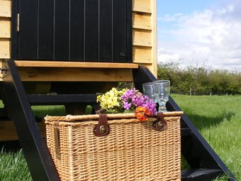 Marshwood Farm B&B And Shepherds Hut