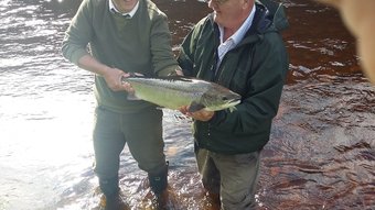 Conval View Bed & Breakfast