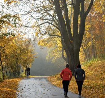 Hostal Hotel Abtshof