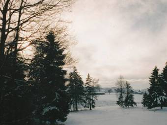 Agroturismo Peaceful Apartment In Reitersau Bavaria Near Ski Area