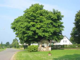 Apartamento Ferienwohnung Roeben