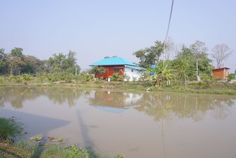 Hotel Bn Organic Farm Resort