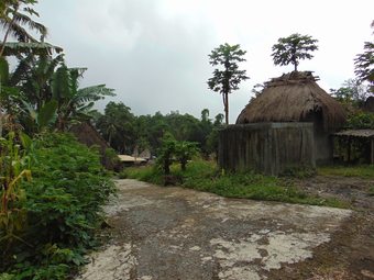 Hotel New Bintang Bajawa