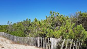 La Jenny, Naturist Resort