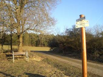 Apartamento Panorama Ferienwohnungen Thiem