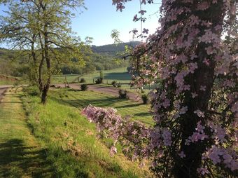 Hotel Ferme de Serene