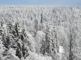 Apartamentos Zum Wildbach Schierke - Harz