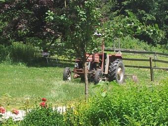 Agroturismo G�stehaus Gr�nberger