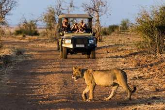 Hotel Muchenje Safari Lodge