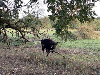 Apartment Sonnenaufgang