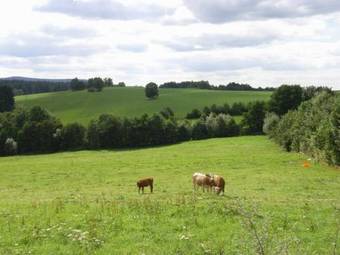 Hotel Und Restaurant K�hlerh�tte - F�rstenbrunn