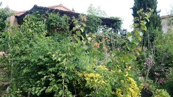 House With One Bedroom In Arles Sur Tech, With Wonderful Mountain View, Enclosed Garden And Wifi - 38 Km From The Beach