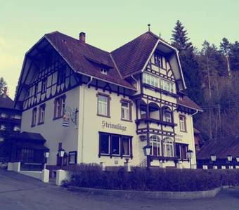Hostal Gasthof Steinas�ge