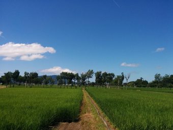 Hostal Iwamuro Slow Hostel