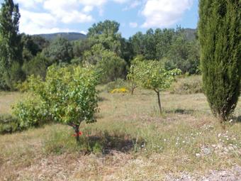 Bed & Breakfast Maset De Les Talaveres