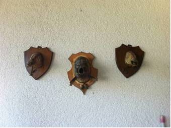 Hostal Pension Richeb�chli