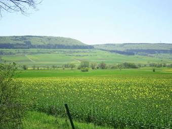 Cozy Apartment In Bad Rippoldsau Near The Forest
