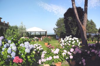 Affittacamere Leonetto