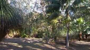 Swr Rainforest Retreat 2