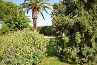 Bed & Breakfast Chic & Country