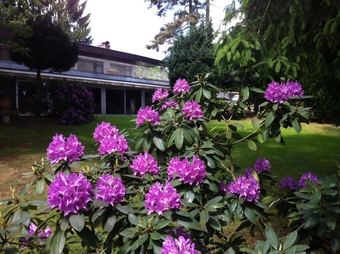 Bed & Breakfast Parkhotel 1970