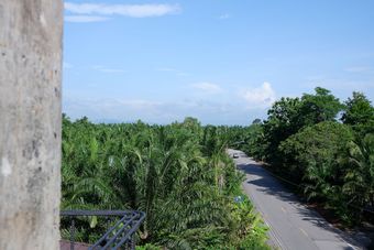 Hotel Black Elephant Boutique