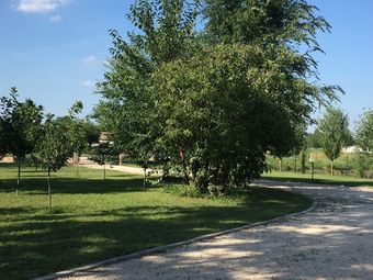 Agroturismo Farm House