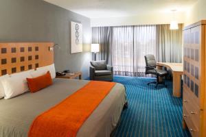 Hotel Real Inn Torreon By Camino Real