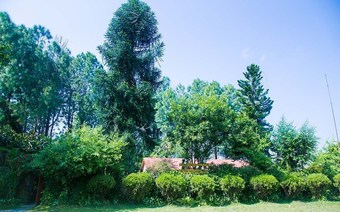 Hotel Bandipur Mountain Resort