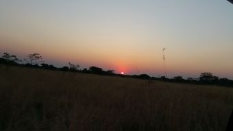 Ver fotos