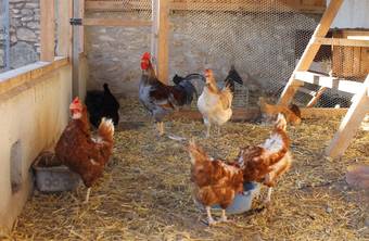 Agroturismo Casa Rural Els Matalapers