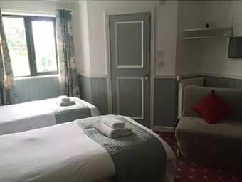 Posada The Bug & Spider