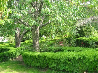 Apartment With One Bedroom In Valpedre, With Pool Access And Balcony