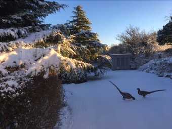 Morgans Bed And Breakfast