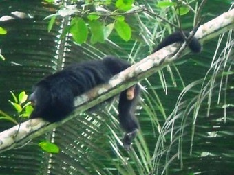 Posada Chaab'il B'e Lodge And Casitas