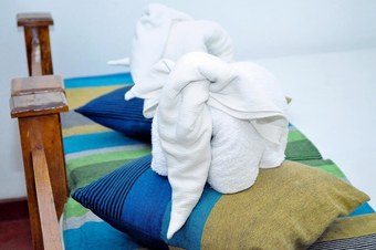 Hotel Heritage Walawa Resort