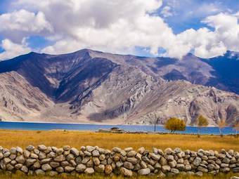 Hotel Tsomoriri Camp And Resort