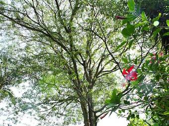 Guappo Ch�cara Hostel