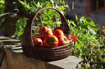 Bed & Breakfast La Prade Basse - Chambres D'h�tes