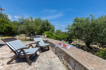 Hotel Pajara Rugiada