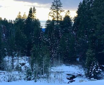 #39 The Cabins At Hyatt Lake - Sleeps 6 - Hot Tub