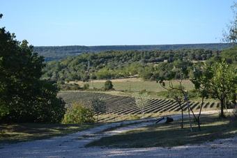 Mas de Panta� - Cottage La Fourche