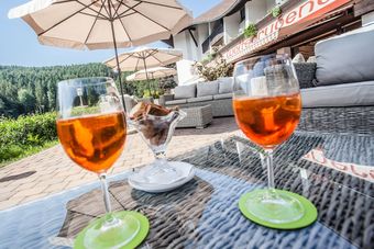 Hotel Am Wolfsgrubenersee