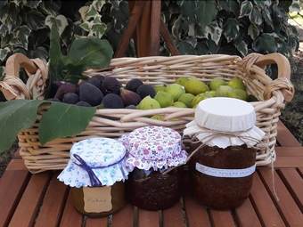 Bed & Breakfast La Casa Dicuccaro