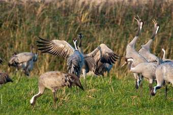 Hotel Schloss St�lpe