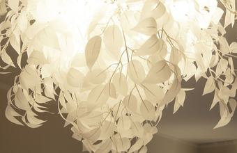 Das Landhotel Wittenbeck