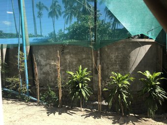 Hotel Diamond Residence