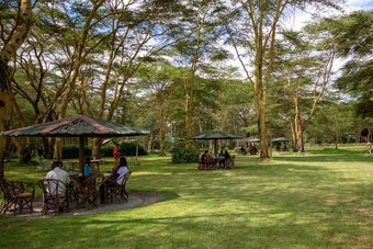 Hotel Lake Naivasha Crescent Camp