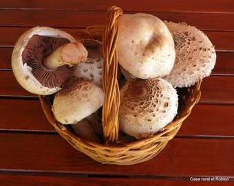 Hostal Casa Rural El Roblon