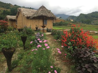 Hotel Golden Rice Garden Sapa